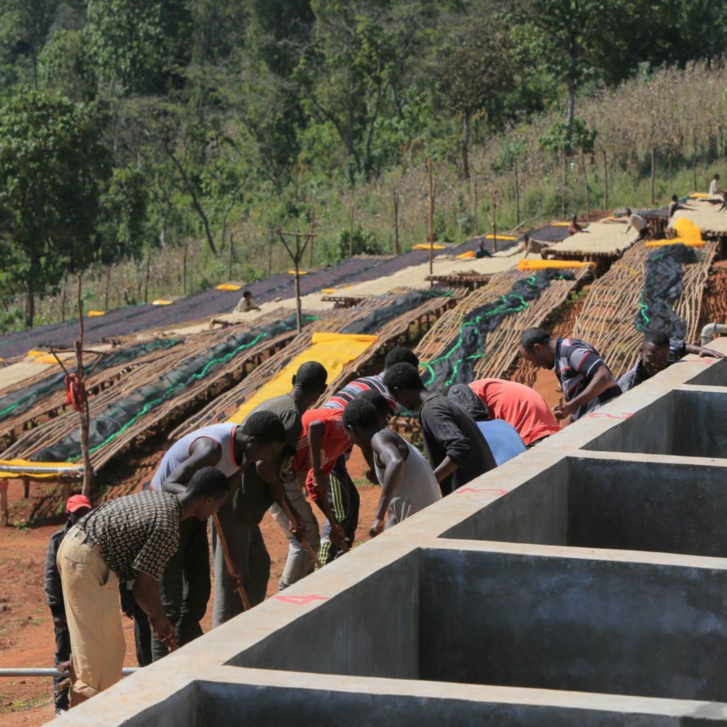 Ethiopia Debaye