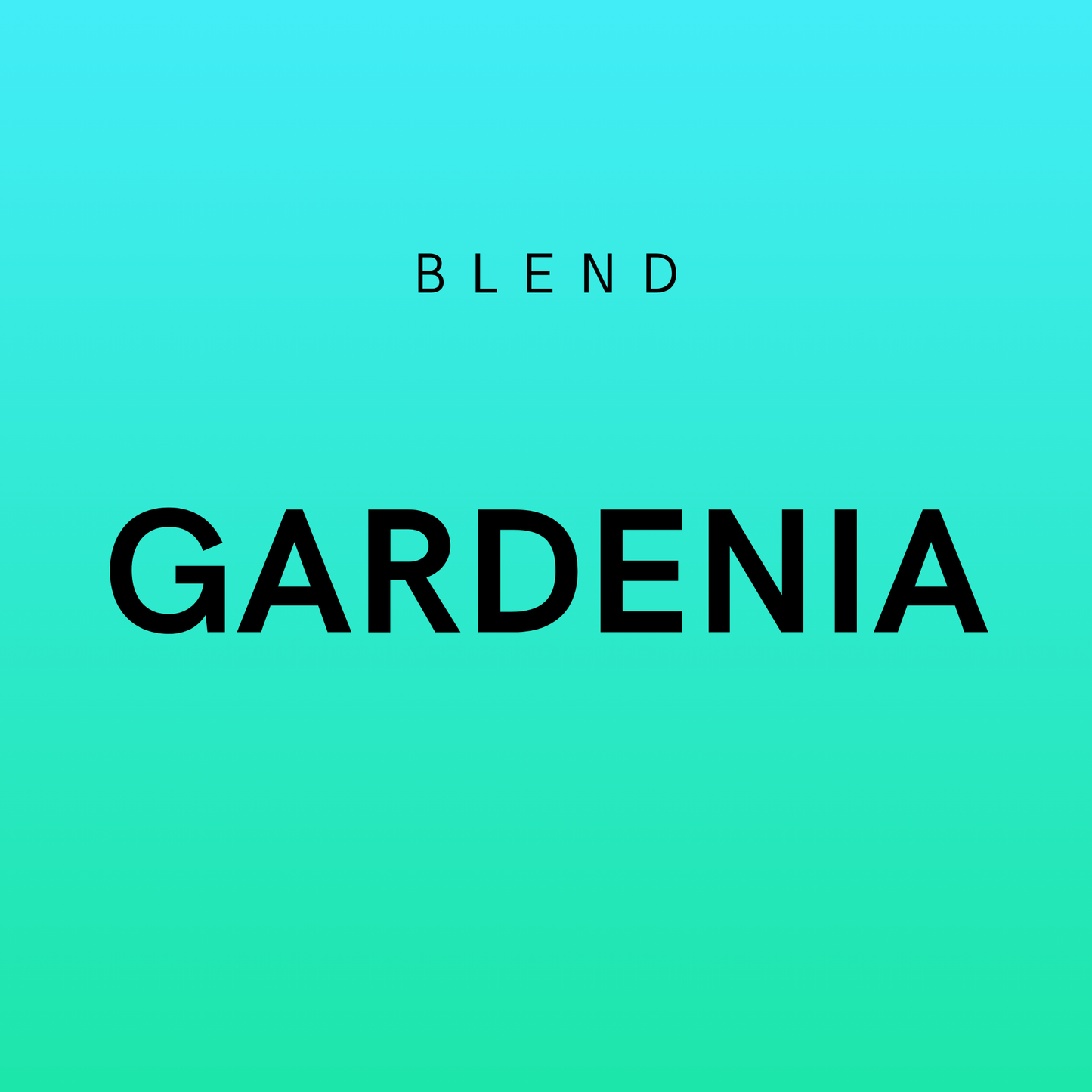 Gardenia