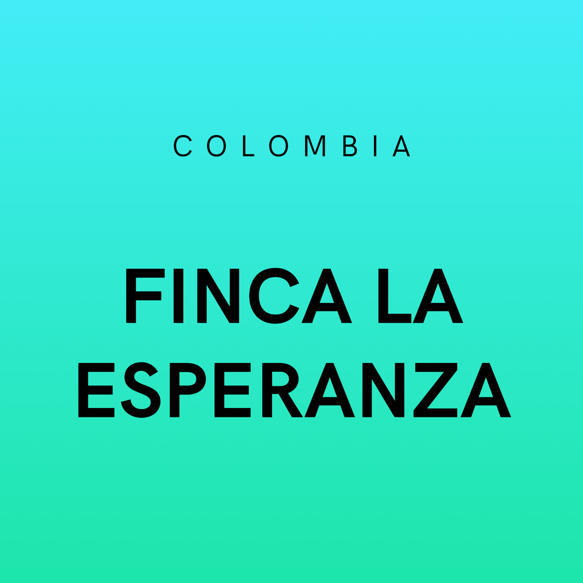 Colombia Finca la Esperanza