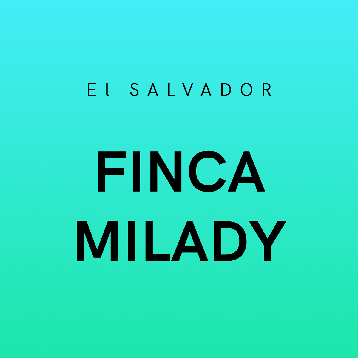 El Salvador Finca Milady