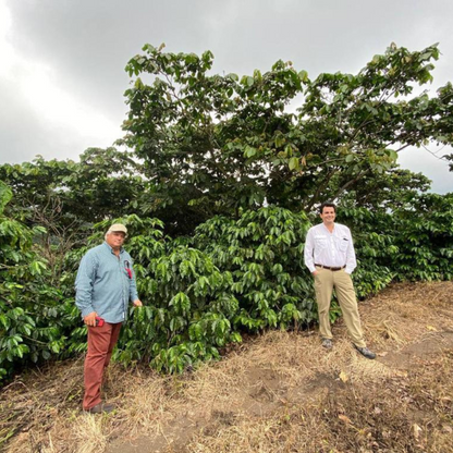 El Salvador Benefico San Miguel