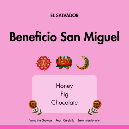 El Salvador Benefico San Miguel