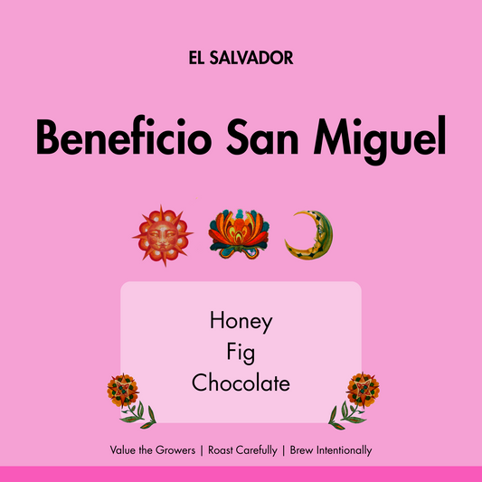 El Salvador Benefico San Miguel
