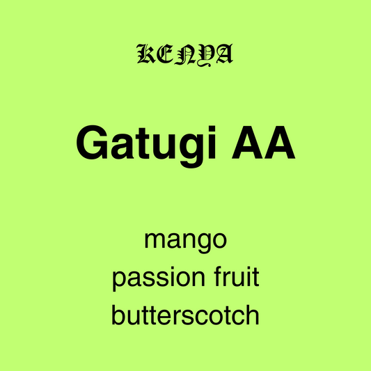 Gatugi Factory AA